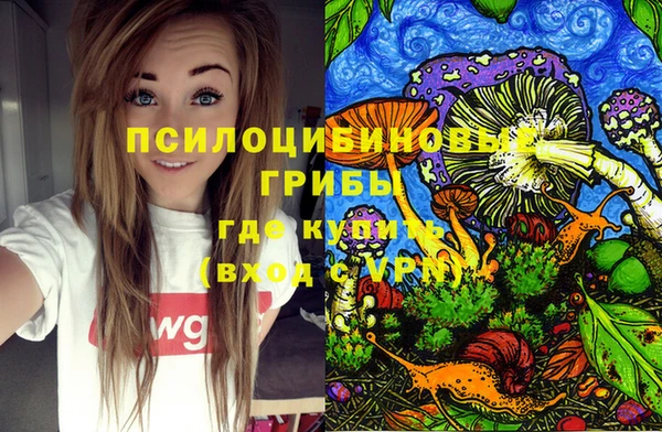 тгк Архангельск