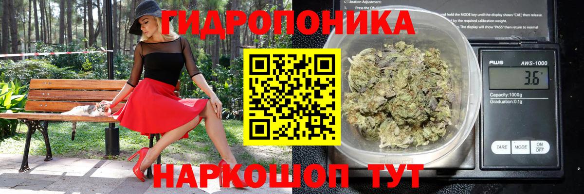 Кызыл  Шишки марихуана сатива  Вход с VPN  Бошки Шишки SATIVA & INDICA 